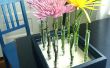 Reagenzglas Blumenvase