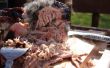 Schweinefleisch auf einem Weber Kugelgrill gezogen