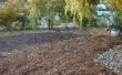 Dürre Tolerant Front Yard - Boden Rasen umwandeln