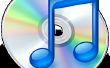 Wie konvertieren Sie Itunes Musik in MP3 in ich Melodien