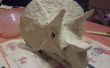 Meine eigene Triceratops Schädel