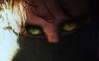 Cat Eyes - eine einfache detaillierte Photoshop Lektion