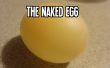 Das nackte Ei: Machen Sie ein gewöhnlicher Ei wackelig, Hüpfburg und matschig mit der wissenschaftlichen Methode! 