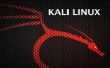 Internet-Shops mit Burpsuite und Kali Linux Hacker