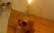 Totenkopf Kerze