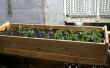 Aufbau eine Pflanze-Box von einem alten Futon-Basis