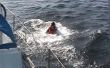Rettung von jemand über Bord gefallen, von einem Boot aus