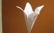 Origami: Lily Tulip Flower