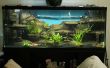 Ein 3D Aquarium Hintergrund