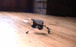 Roboter mechanische Käfer. V1