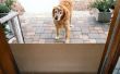 Schiebetür Hund Tor schützt vor Kratzern