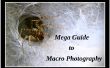 Mega-Leitfaden für die Makrofotografie