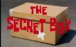 Machen Patricks Geheimnis Box