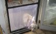 Einfache, billige Doggy Tür in ein Fliegengitter