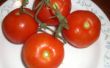 Get A größer, süsser, frühere Ernte der Tomaten