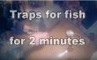 Fallen für Fisch für 2 Minuten