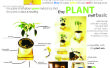 The Plant Shelf basic