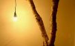 Baum-Zweig Lampe