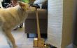 DIY Lampe Schalter für Hunde