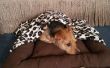 Bett mit abnehmbaren Decke Hund