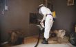 Machen eine Biene Vakuum saugt, dass wirklich