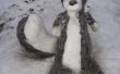 Schnee-Skunk: Ramone Köln