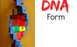 D.I.Y DNA Form