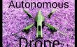 Autonome AR Parrot Drone 2.0 fliegen