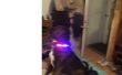 Blinkende LED Hundehalsband Sicherheit! 