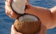 Wie öffnet man eine Kokosnuss