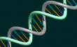 Die Wissenschaft der DNA! 