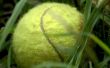 Super Tennis Ball Mörtel