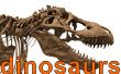 Wie geben Sie die Dinosaurier-Contest - Ergebnisse! 