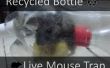 Recycling-Flasche Live Mausefalle