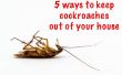 5 Wege zur Kakerlaken zu halten off Ihr Haus
