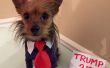 Donald Trump Hund Kostüm