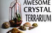 Geometrische Crystal Terrarium aus CD-Hüllen