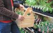 DIY-Garten-Werkzeug-Box