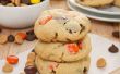 Peanut Butter Doppel Chip Pudding Cookies