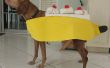 Machen A Banana Split Hund Kostüm