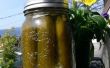 Probiotische Rich Dill Pickles