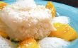 Kokos Mango Sticky Rice w / Ginger Air