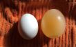 Wie man ein Ei mit Osmose wachsen