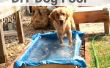 DIY-Hund Pool