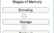 Wie ein Psychologie Short-Term Memory Experiment zu tun