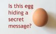 Das Geheimnis hinter dem Geheimbotschaft Ei