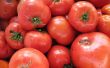 10 Minuten Druck aus der Dose Tomaten