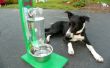 Die Awesomest coolsten einfachste Wassernapf für Hunde & Katzen! 