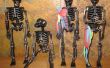 Lerne Anatomie Muskel mit einem Halloween-Skelett