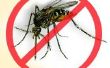 Dengue-Fieber Mückenschutz - Repelente Para Mücke da Dengue-Fieber